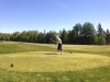 golfshelleyebbett